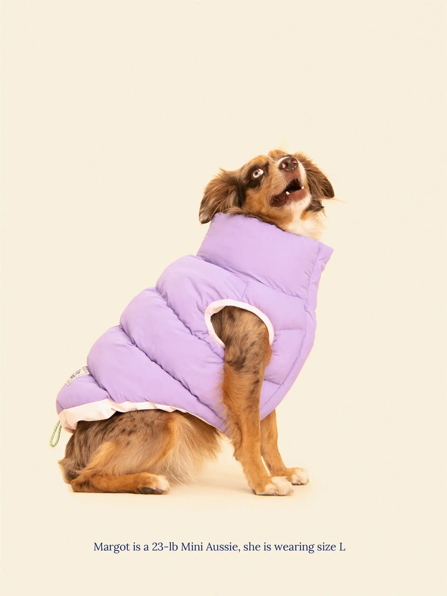 The Super Duper Reversible Parka Vest