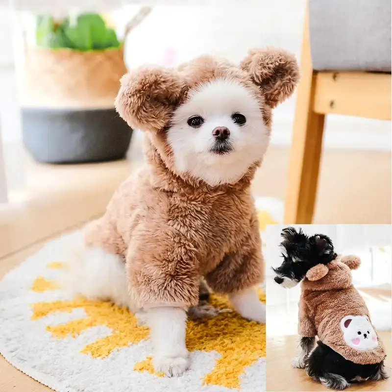 Teddy Bear Dog Costume