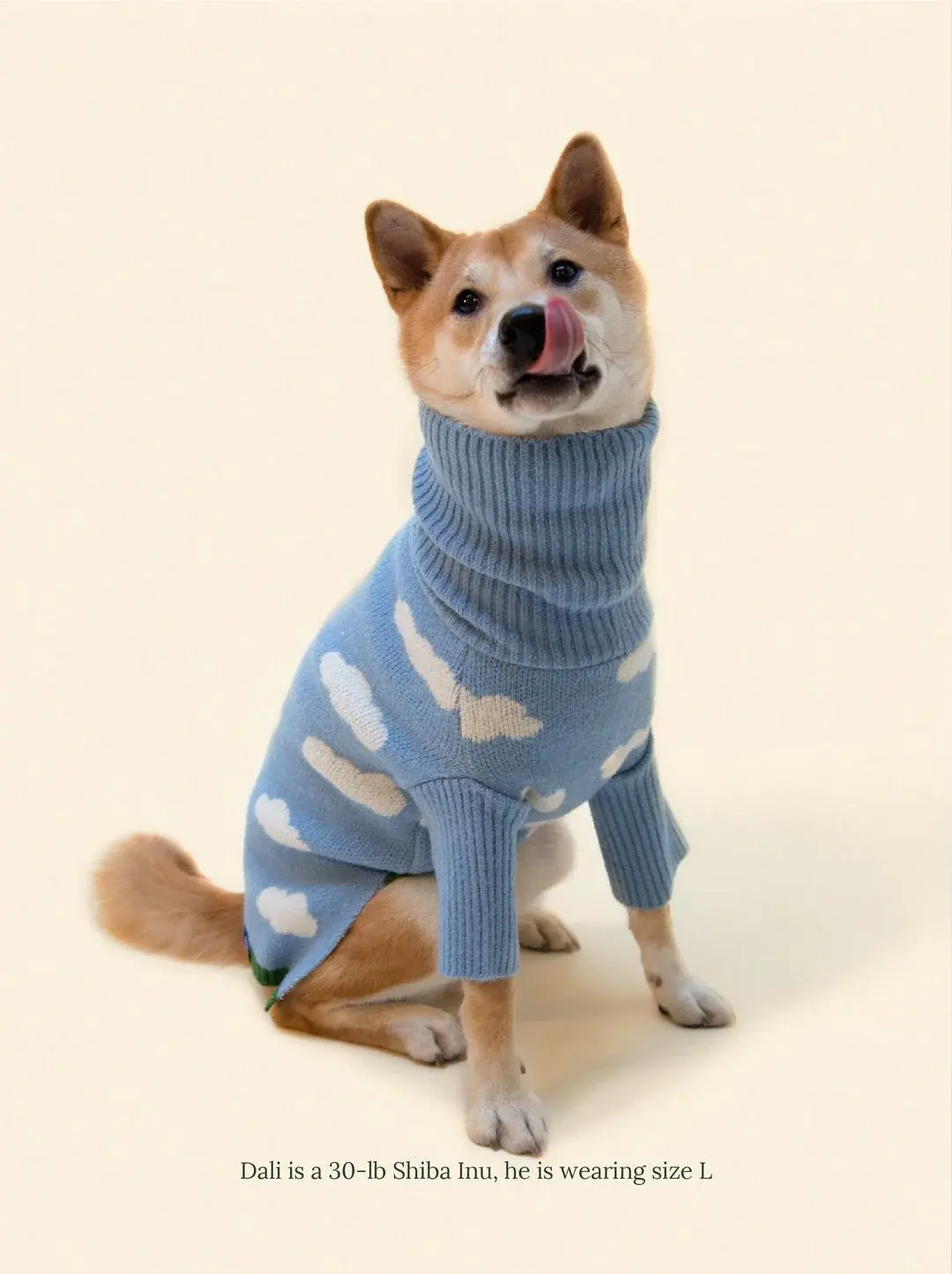 Silver Linings Sweater